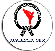 Academia Sur