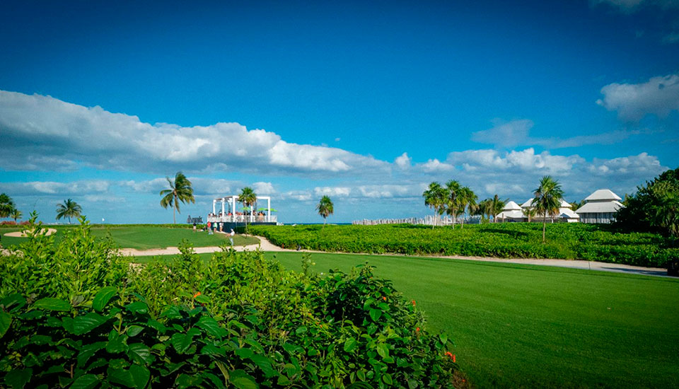 Mayakoba Golf Classic