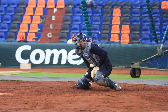 Tigres de Quintana Roo